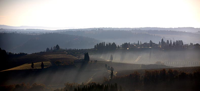 cinciano-19